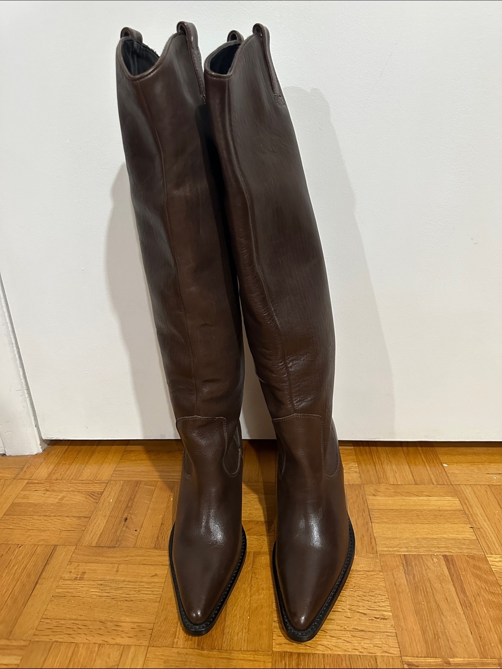 Bronx Tall Pointed-Toe Leather Over-the-Knee Boots in Brown